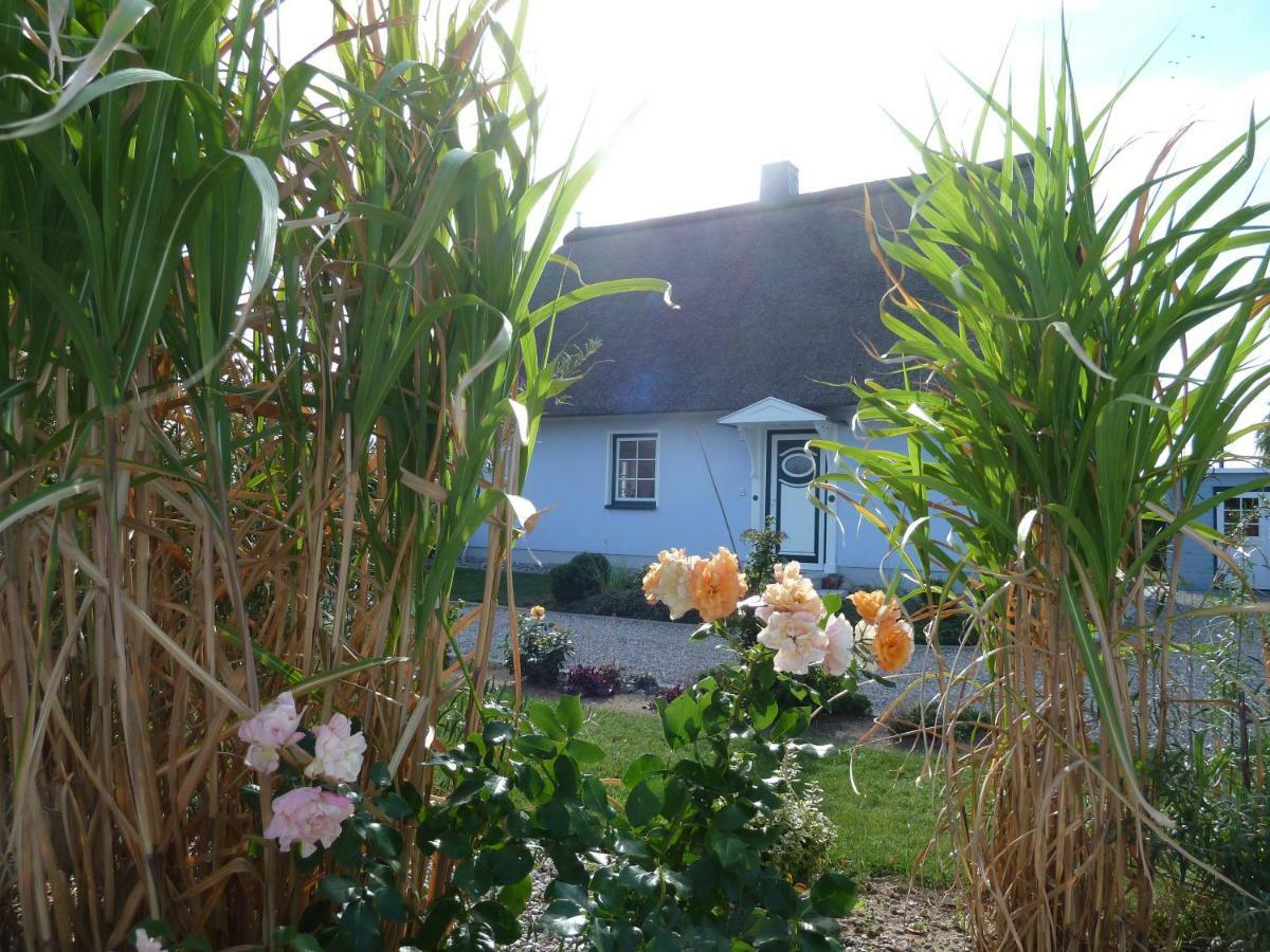 Ferienhaeuser Salzhaff-Romantik Tessmannsdorf Exterior foto